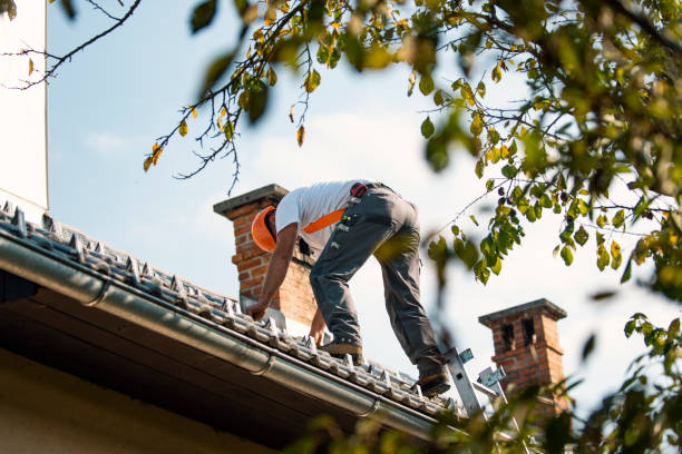 Best Roof Gutter Cleaning  in Ridgeway, AK