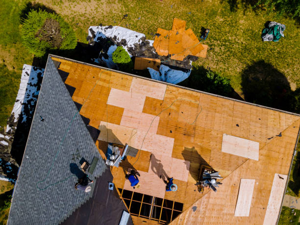 Best Roof Repair Services  in Ridgeway, AK