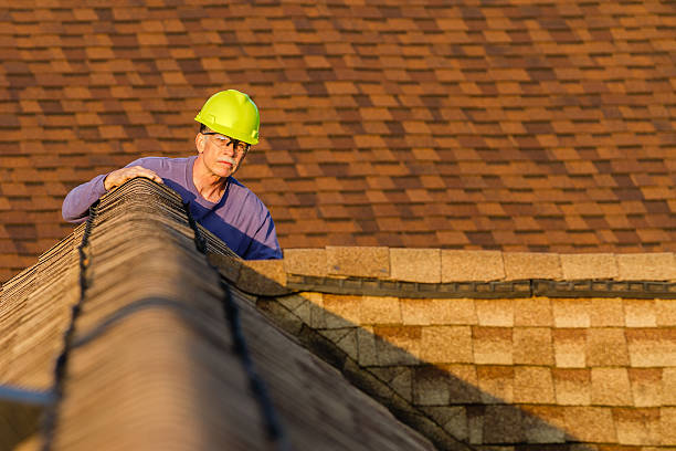Best Roof Maintenance Services  in Ridgeway, AK