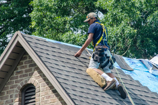 Best New Roof Installation  in Ridgeway, AK